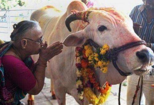 越牛新闻上爆料如何分享